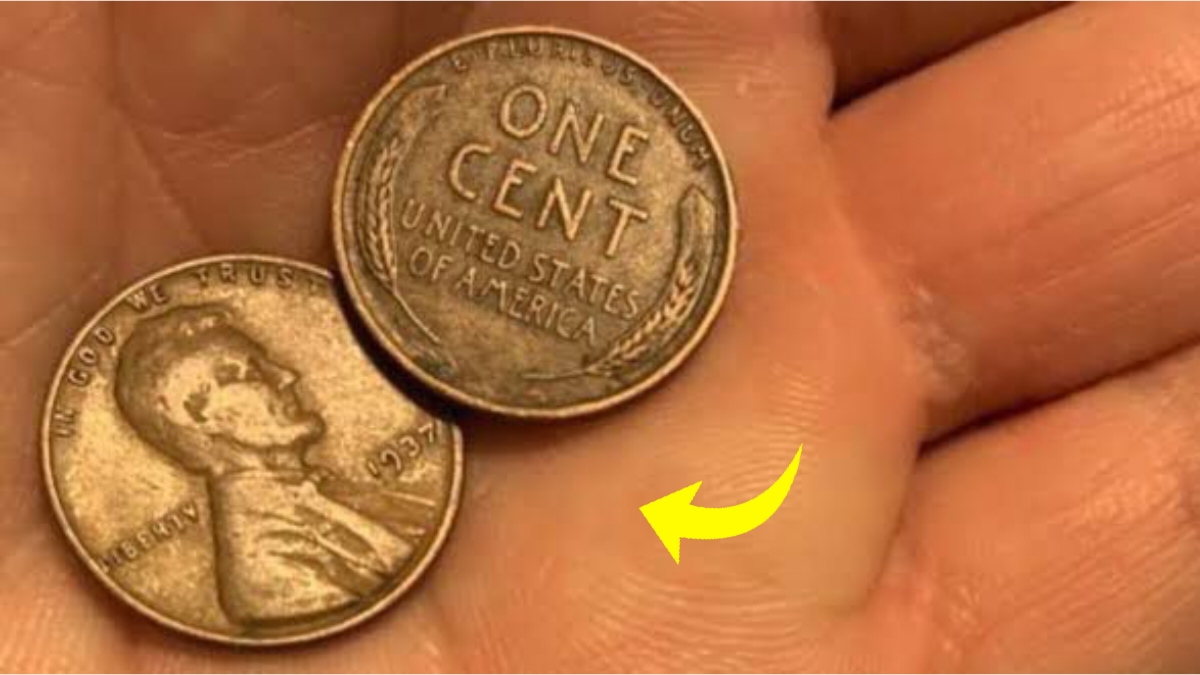 Lincoln Wheat Penny Valued at $168K